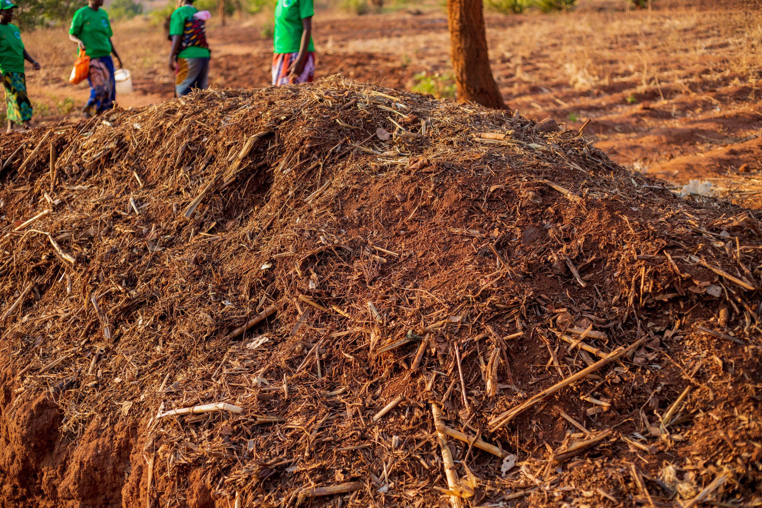 Manure Making